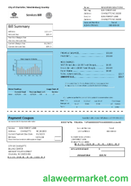 USA North Carolina City of Charlotte water business utility bill template in Word and PDF formats